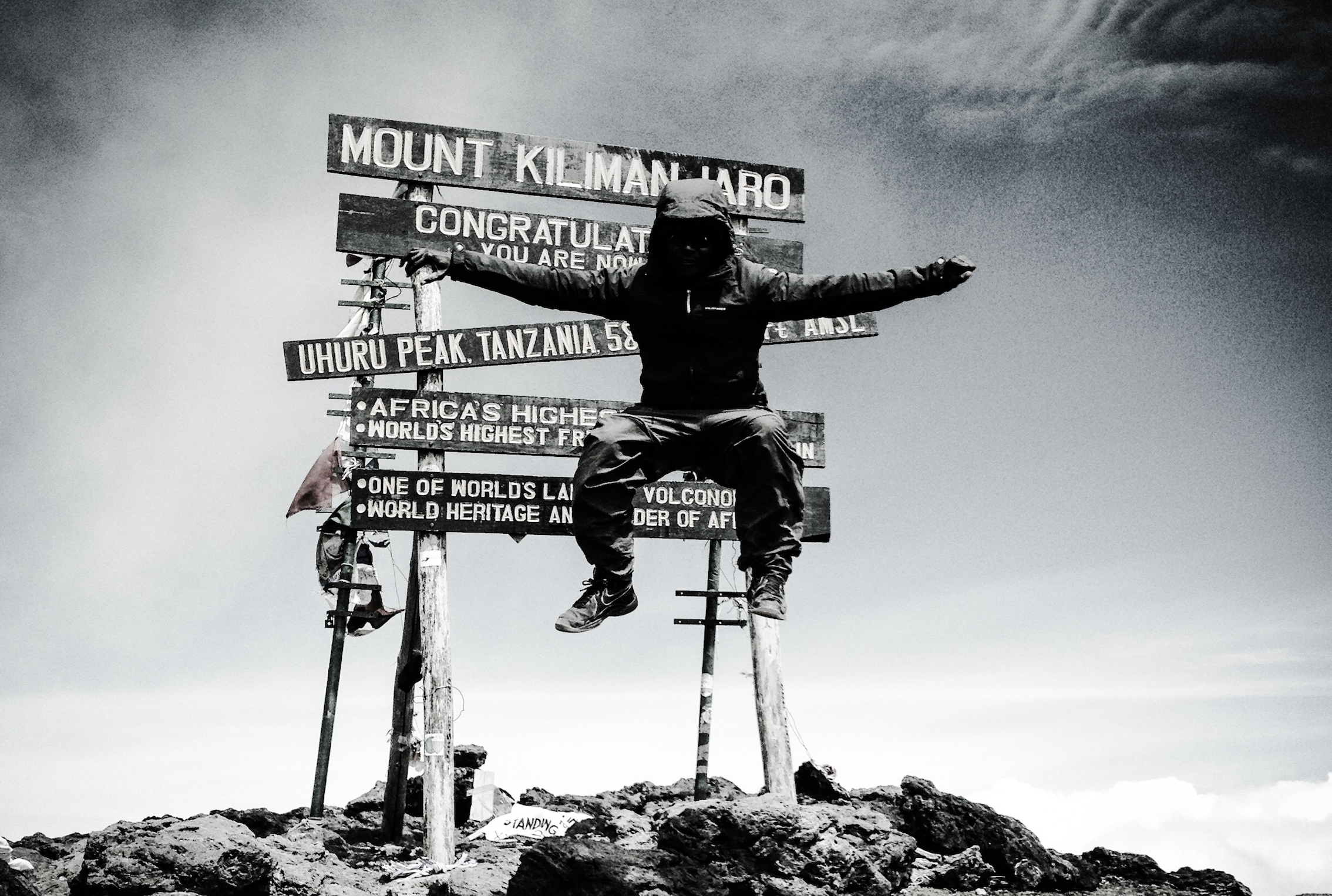 Kilimanjaro // Daffodils Thumbnail Image